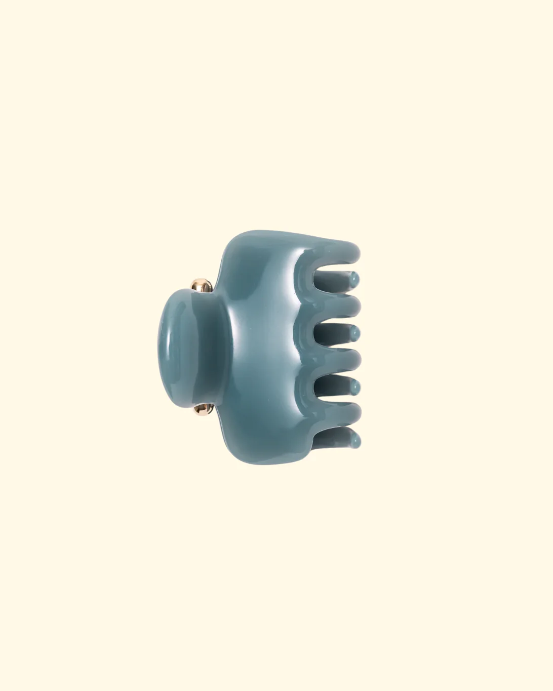 Claw Clip | Lake