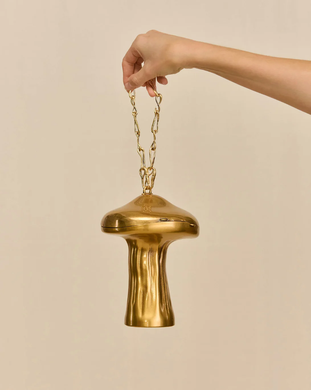 Fungo Clutch | Brass - Image 2