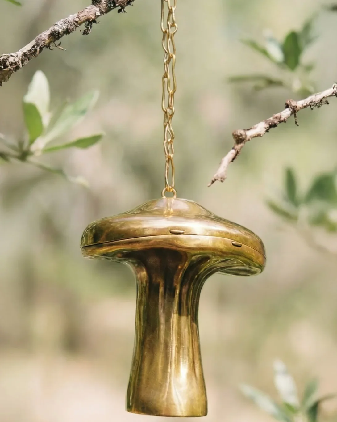 Fungo Clutch | Brass - Image 6