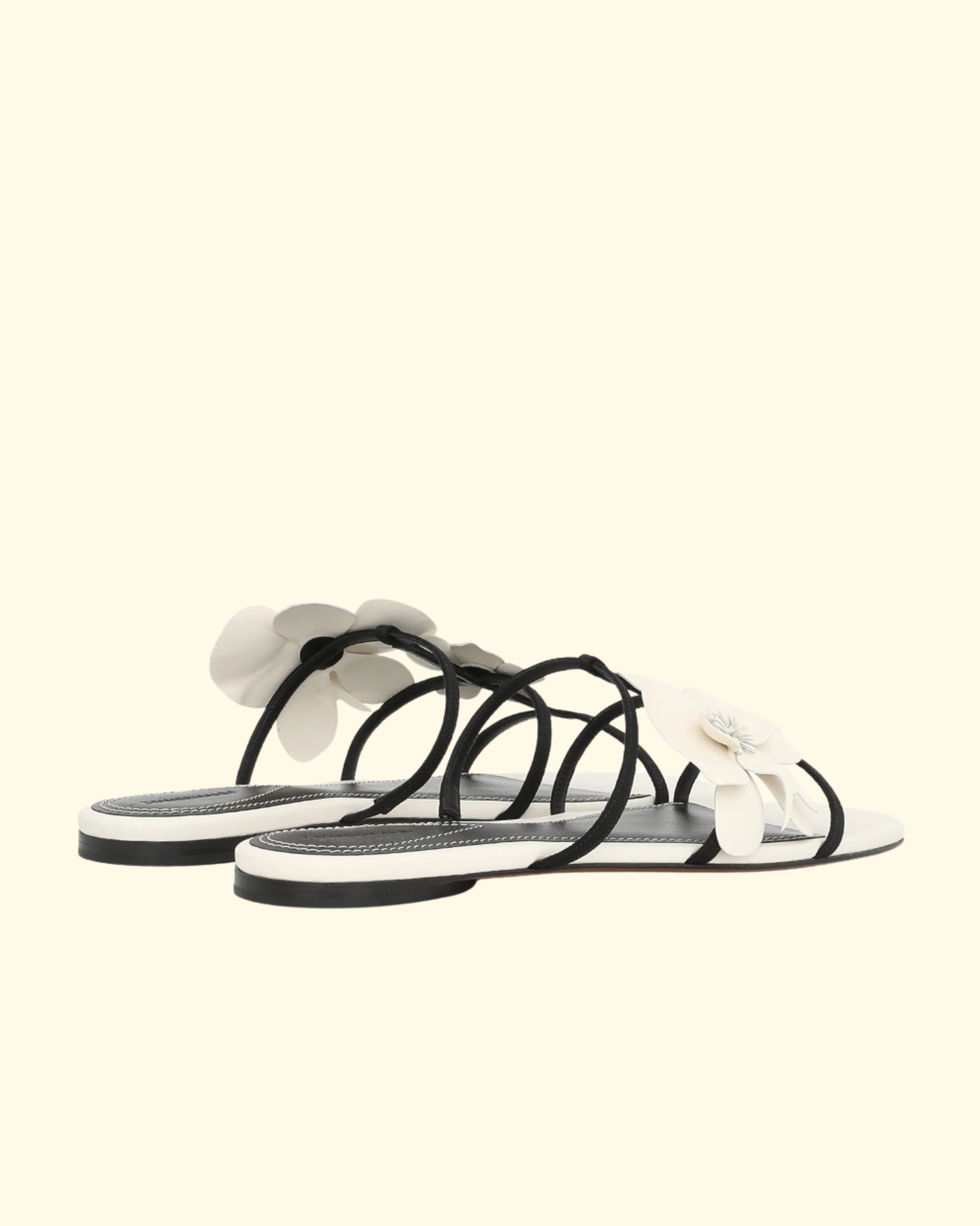 Orchid Slide | Macadamia - Image 3