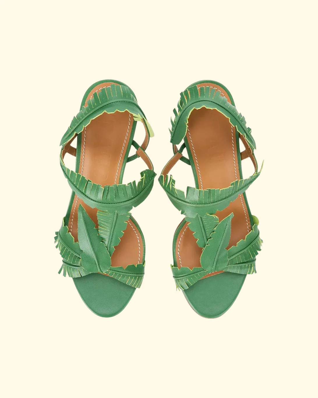 Palm Heel | Leaf - Image 5